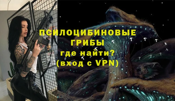 МДПВ Белокуриха