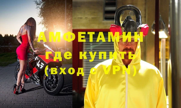 стаф Богданович