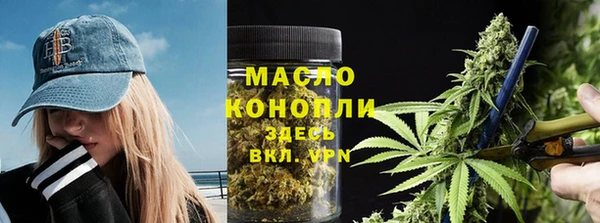 стаф Богданович