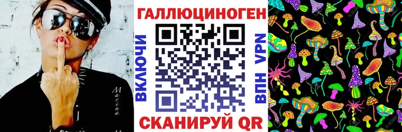 Галлюциногенные грибы Cubensis  цена   Бобров 