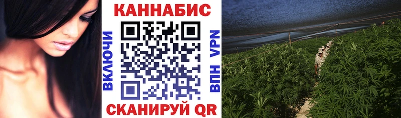 купить  цена  Бобров  Шишки марихуана конопля 